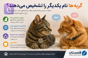 ChatGPT Image Jul 24 2026 06 16 48 PM