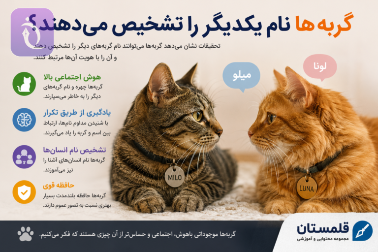 ChatGPT Image Jul 24 2026 06 16 48 PM