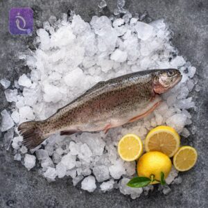 F1yvTrcOTVYV9i90C6MpLjKZ3PD t4NtKylIYWUa5jo7CSuRTaZIEDJ gLXcRn2qhsXiTkskrGD0OwsnKwFRoscPw3xzGma4deIFa 7cHXlLD3TOHMv8ofpJLEUejTeGvuEPD10ckeUKWtWLNnp91G9maNFkiNHq3FT6j5wuWZHdNz15Lkqb92 R8A09ypQP