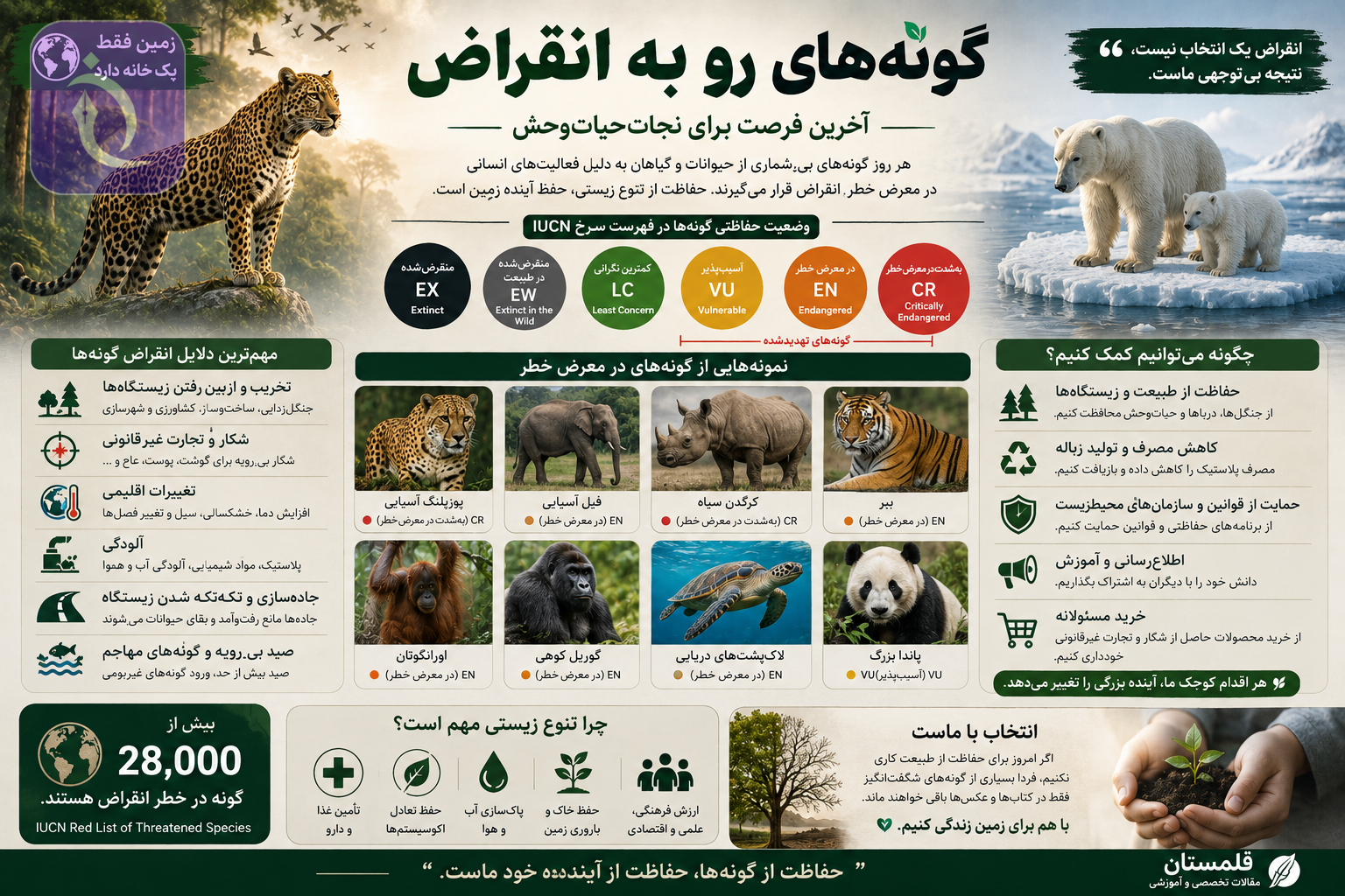 ChatGPT Image Aug 13 2026 11 30 35 AM