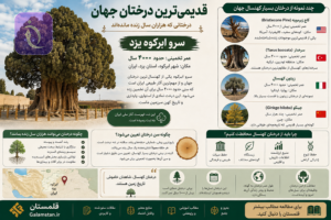 ChatGPT Image Aug 19 2026 06 18 58 PM