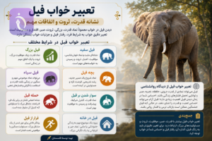 ChatGPT Image Aug 27 2026 05 52 35 PM