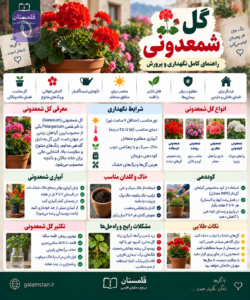 ۰۸B1DB0A CCB3 4AE3 BD6C 795583DB9F98