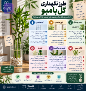 ChatGPT Image Sep 18 2026 01 15 22 PM