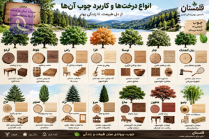 ChatGPT Image Sep 4 2026 11 58 20 AM